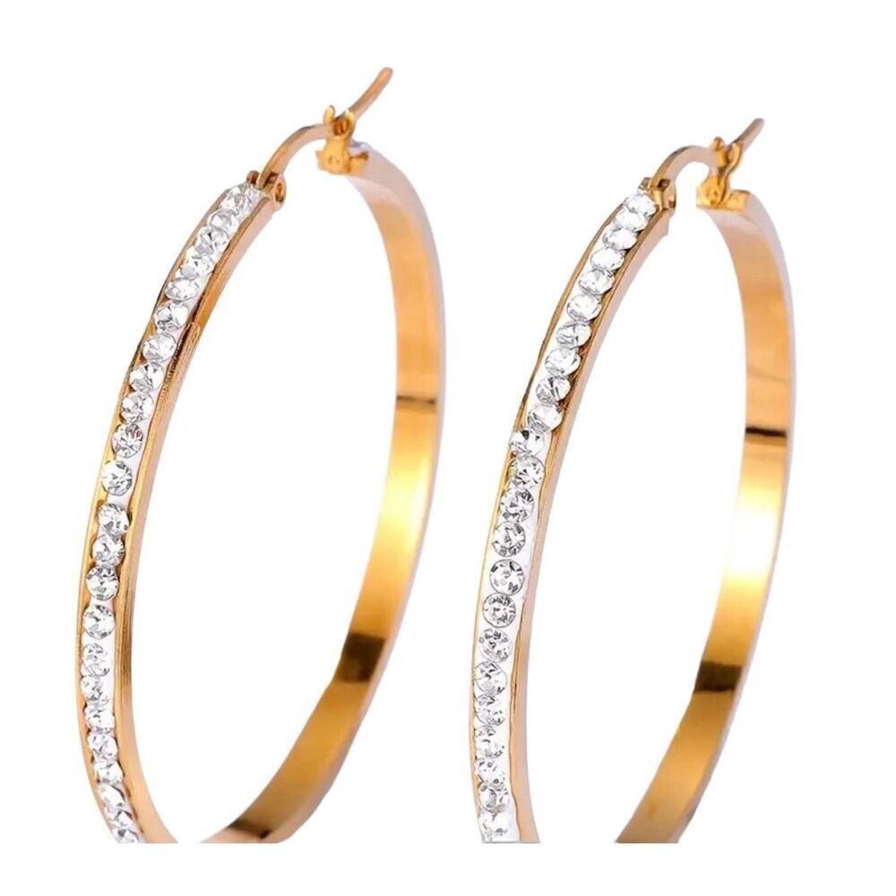 Fashion Hoop Gold plated Earrings